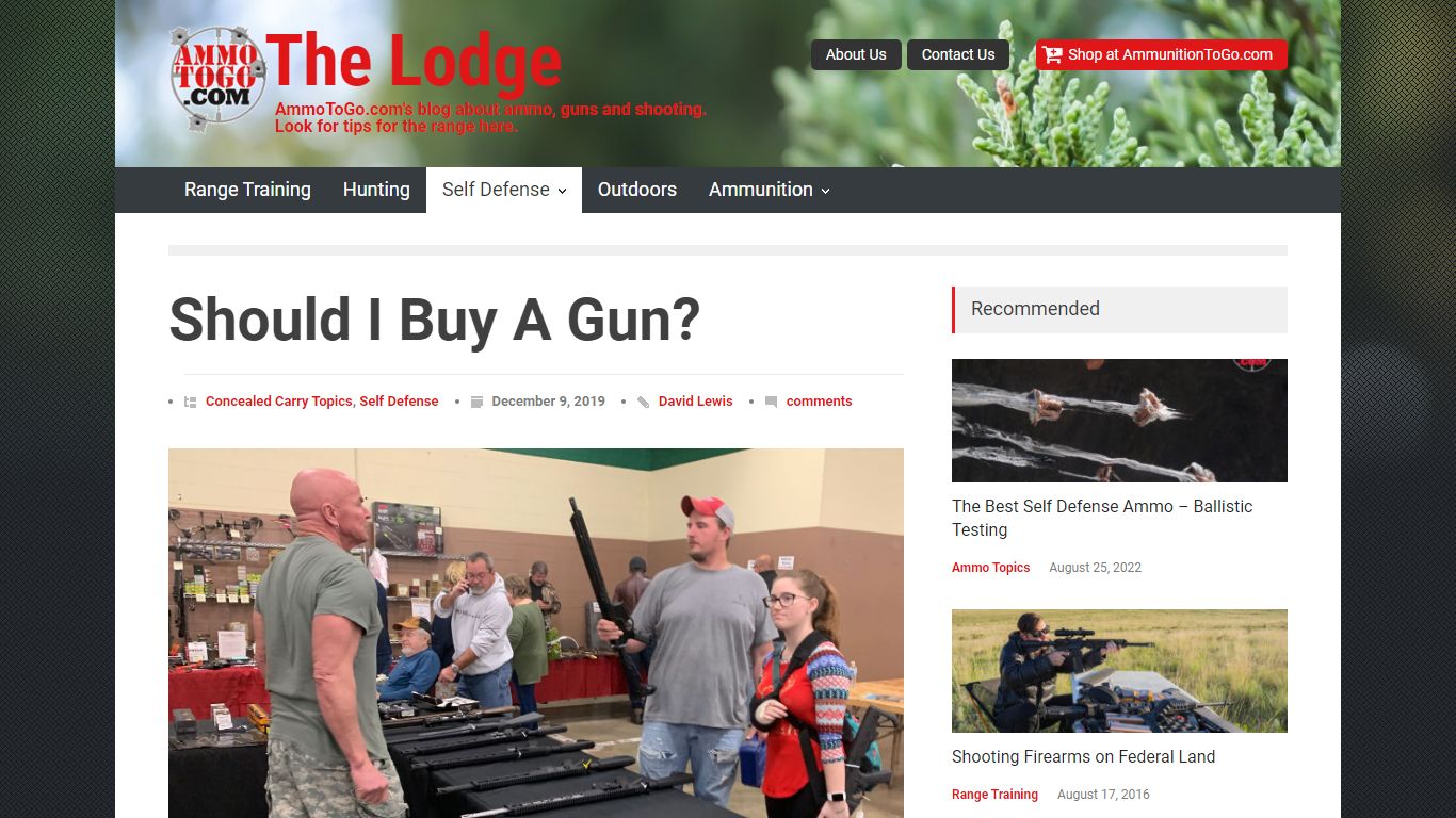 Should I Buy A Gun? Some Big Things To Consider - The Lodge at AmmoToGo.com